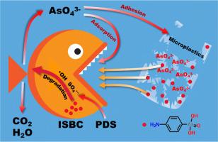 Iron scrap derived nano zero-valent iron/biochar activated persulfate for p-arsanilic acid decontamination with coexisting microplastics