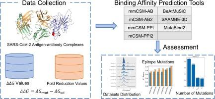 A benchmark for evaluation of structure-based online tools for antibody-antigen binding affinity