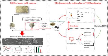 Physiochemical characterization and ameliorative effect of rice resistant starch modified by heat-stable α-amylase and glucoamylase on the gut microbial community in T2DM mice