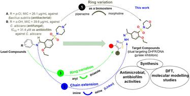 Tailoring of novel morpholine-sulphonamide linked thiazole moieties as dual targeting DHFR/DNA gyrase inhibitors: synthesis, antimicrobial and antibiofilm activities, and DFT with molecular modelling studies†