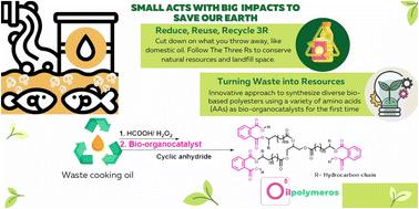 Amino acids as bio-organocatalysts in ring-opening copolymerization for eco-friendly synthesis of biobased oligomers from vegetable oils†