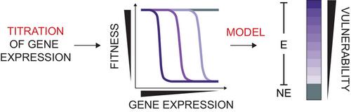 Weak links: Advancing target-based drug discovery by identifying the most vulnerable targets