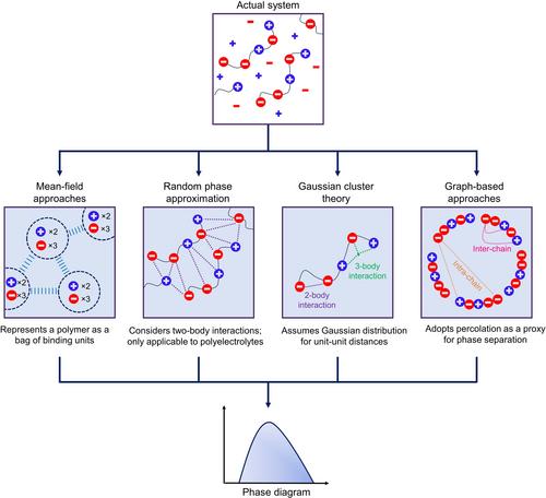 Biomolecular phase separation through theoretical and computational microscope