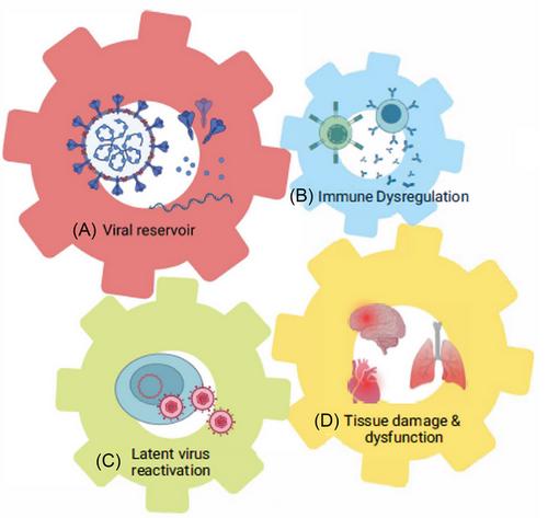 Long COVID and post-acute sequelae of SARS-CoV-2 pathogenesis and treatment: A Keystone Symposia report