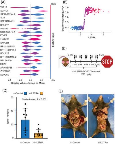 Discovering genetic biomarkers for targeted cancer therapeutics with eXplainable Artificial Intelligence