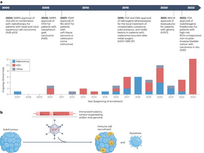 Nucleic acid-based drugs for patients with solid tumours