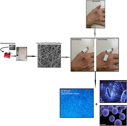 Antibacterial wound dressing with cross-linked electrospun surface from reduced graphene oxide doped polyvinyl alcohol/sodium caseinate blends