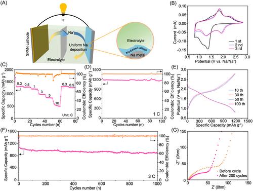 Stable sodium metal anode enabled by interfacial room-temperature liquid metal engineering for high-performance sodium–sulfur batteries with carbonate-based electrolyte