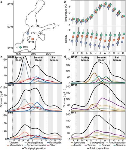 Plankton blooms over the annual cycle shape trophic interactions under climate change