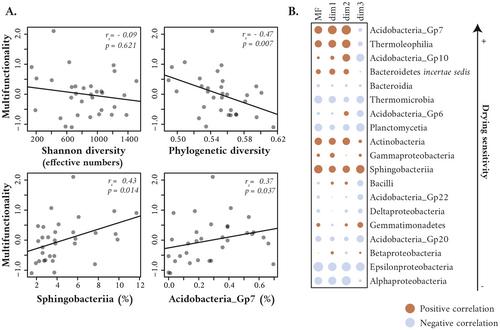 Key bacterial groups maintain stream multifunctionality in response to episodic drying