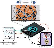 Combined electrical-electrochemical phenotypic profiling of antibiotic susceptibility of in vitro biofilm models†