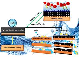 Fabrication of a sustainable superhydrophobic surface of Ag-NPs@SA on copper alloy for corrosion resistance, photocatalysis, and simulated distribution of Ag atoms†