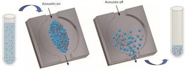 Small extracellular vesicles’ enrichment from biological fluids using an acoustic trap