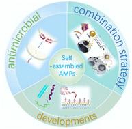 Antimicrobial therapy based on self-assembling peptides