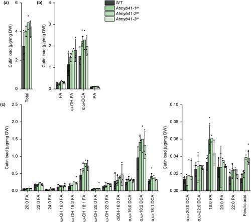 AtMYB41 acts as a dual-function transcription factor that regulates the formation of lipids in an organ- and development-dependent manner