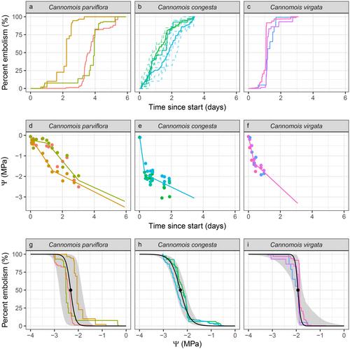 Assessing vulnerability to embolism and hydraulic safety margins in reed-like Restionaceae