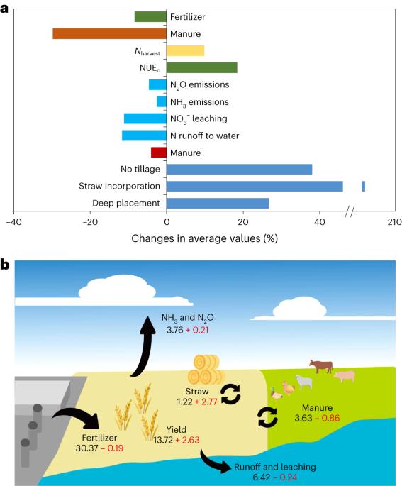 Agricultural management practices in China enhance nitrogen sustainability and benefit human health