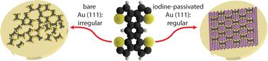 Iodine passivation facilitates on-surface synthesis of robust regular conjugated two-dimensional organogold networks on Au(111)†