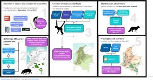 Mapping the way: identifying priority potential corridors for protected areas connectivity in Colombia