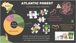 How to enhance Atlantic Forest protection? Dealing with the shortcomings of successional stages classification