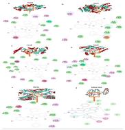 Synthesis, crystal structure, lipophilicity, antioxidant activity, binding interactions, and antibacterial activity against methicillin-resistant Staphylococcus aureus of a Ni(ii) Schiff base complex: combined theoretical and experimental approaches†