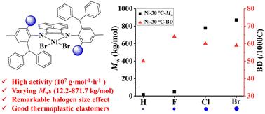 Impact of o-aryl halogen effects on ethylene polymerization: steric vs. electronic effects†