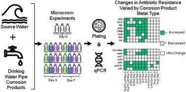 The effects of lead, copper, and iron corrosion products on antibiotic resistant bacteria and antibiotic resistance genes†