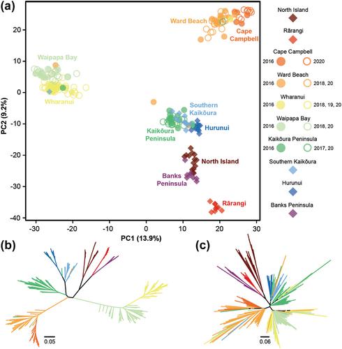 First genomic snapshots of recolonising lineages following a devastating earthquake