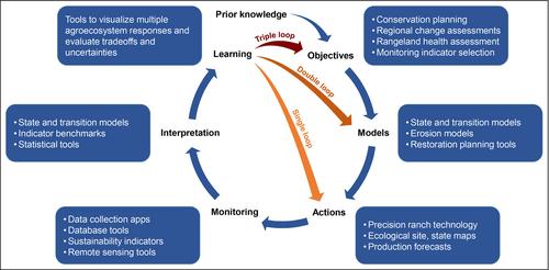 Fulfilling the promise of digital tools to build rangeland resilience