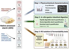 Heat-moisture and acid treatments can increase levels of resistant starch in arrowroot starch without adversely affecting its prebiotic activity in human colon microbiota†