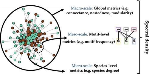 Telling mutualistic and antagonistic ecological networks apart by learning their multiscale structure