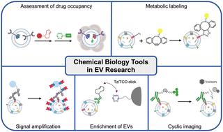 Recent advances in chemical biology tools for protein and RNA profiling of extracellular vesicles