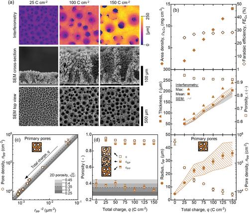 Manufacturing Free-Standing, Porous Metallic Layers with Dynamic Hydrogen Bubble Templating