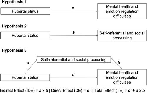 The role of self-referential and social processing in the relationship between pubertal status and difficulties in mental health and emotion regulation in adolescent girls in the UK