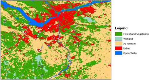 The impact of urbanization on painted turtle (Chrysemys picta) behaviour