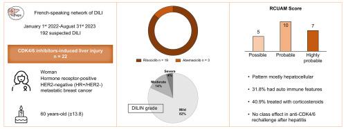 CDK4/6 inhibitor-induced liver injury: Clinical phenotypes and role of corticosteroid treatment