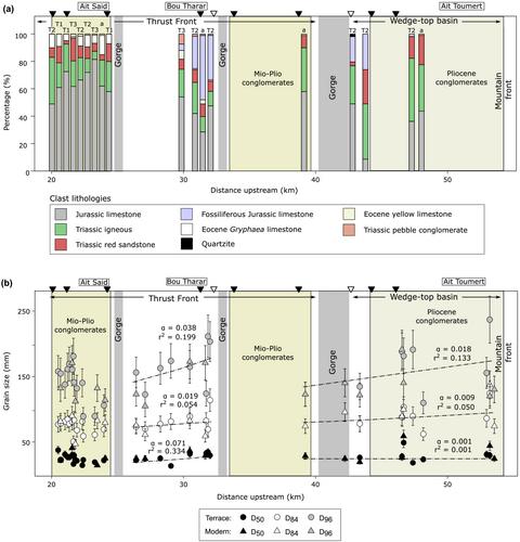 Lithological controls on the timing of strath terrace staircase formation in a collisional mountain belt