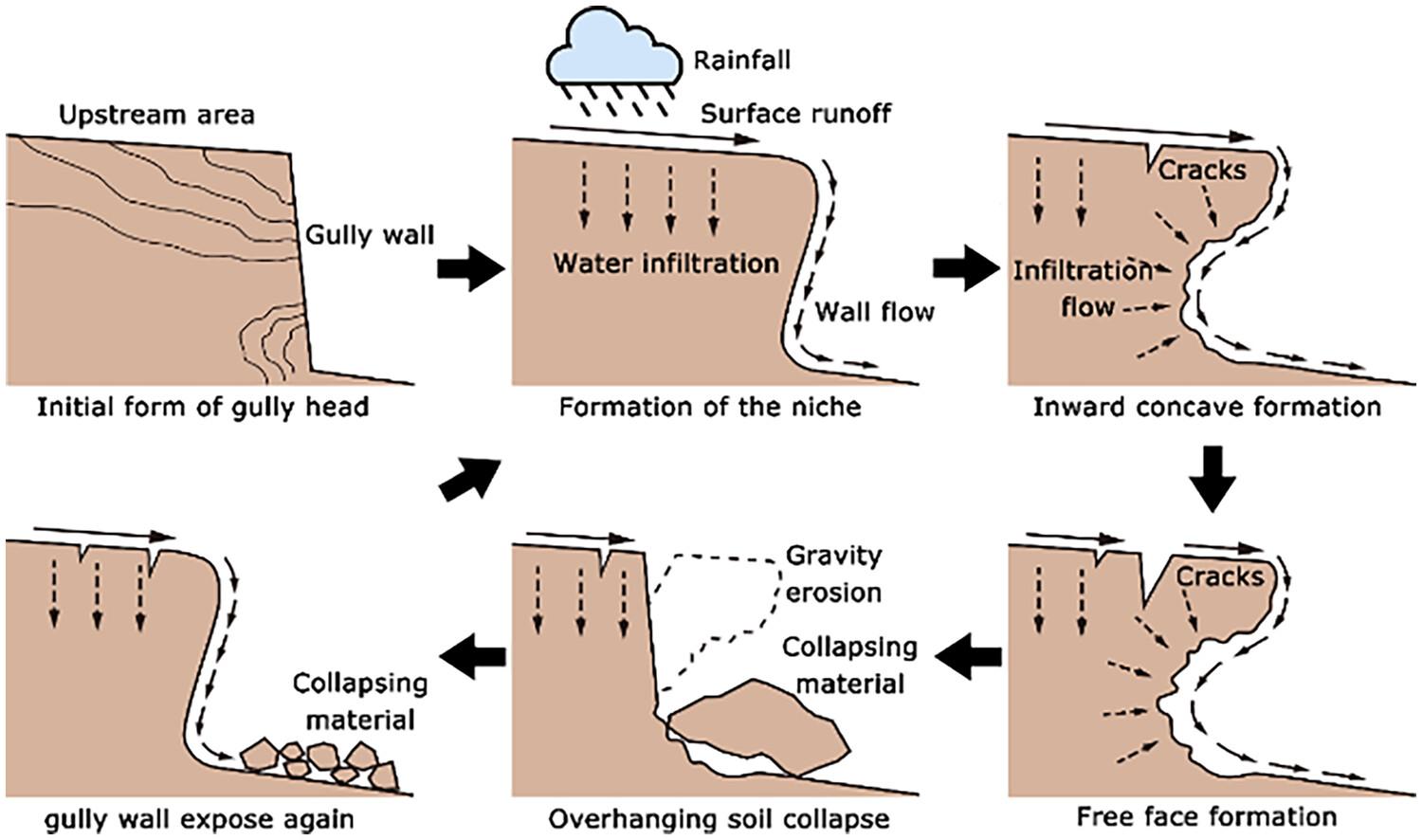 Tiny niche terrain induces gully headcut retreat