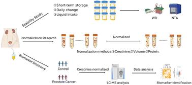 Assessment of urine sample collection and processing variables for extracellular vesicle-based proteomics†