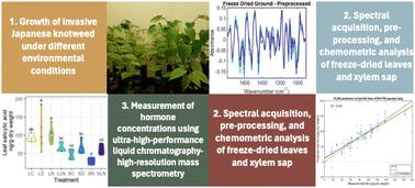 Attenuated total reflection Fourier-transform infrared spectroscopy for the prediction of hormone concentrations in plants†