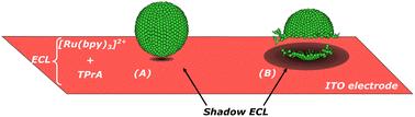 Shadow electrochemiluminescence imaging of giant liposomes opening at polarized electrodes†