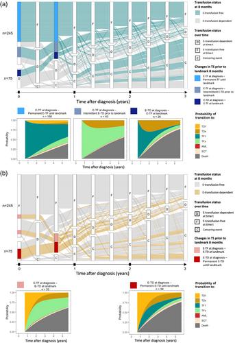 Early transfusion patterns improve the Molecular International Prognostic Scoring System (IPSS-M) prediction in myelodysplastic syndromes