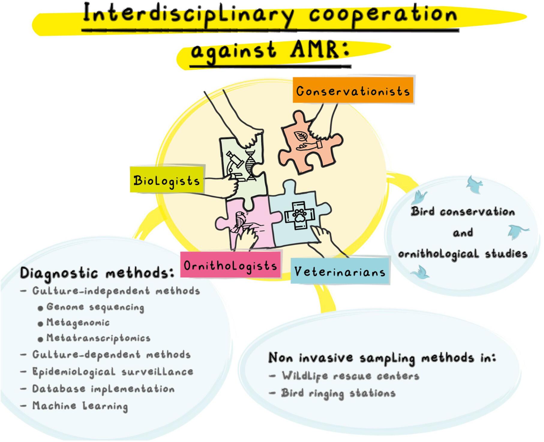 Wild birds and the ecology of antimicrobial resistance: an approach to monitoring