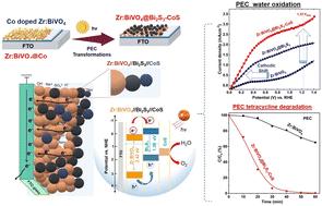 Cooperative catalytic behavior of CoS and Bi2S3 nanoparticles on Zr:BiVO4 photoanodes for enhanced photoelectrochemical sulfite oxidation coupled with pharmaceutical pollution degradation†