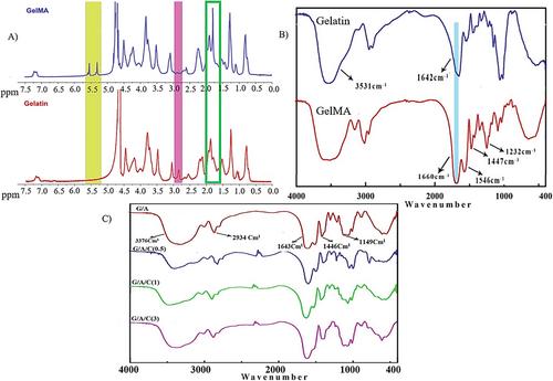 An Injectable Nanocomposite IPN Hydrogel Based on Gelatin Methacrylate/Alginate/COF for Tissue Engineering Applications