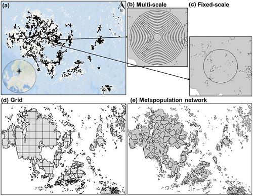 Positive effects of fragmentation per se on the most iconic metapopulation