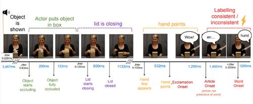 14-month-old infants detect a semantic mismatch when occluded objects are mislabeled