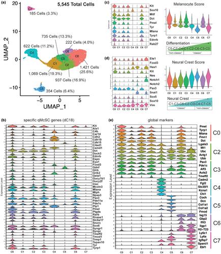 Molecular heterogeneity of quiescent melanocyte stem cells revealed by single-cell RNA-sequencing