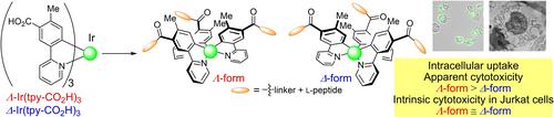 Synthesis of Optically Pure Cyclometalated Iridium(III) Complex-Peptide Hybrids and Their Anticancer Activity