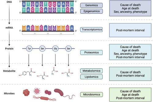 From flesh to bones: Multi-omics approaches in forensic science